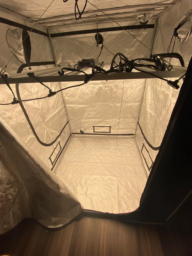 armario de cultivo con lampara casero interior cultivo completo grande y automatizado ventilacion de barras cultivo de interior para plantas perennes autoflorecientes cultivo cannabico legal purple punch homegrown jardineria indoor outdoor medical