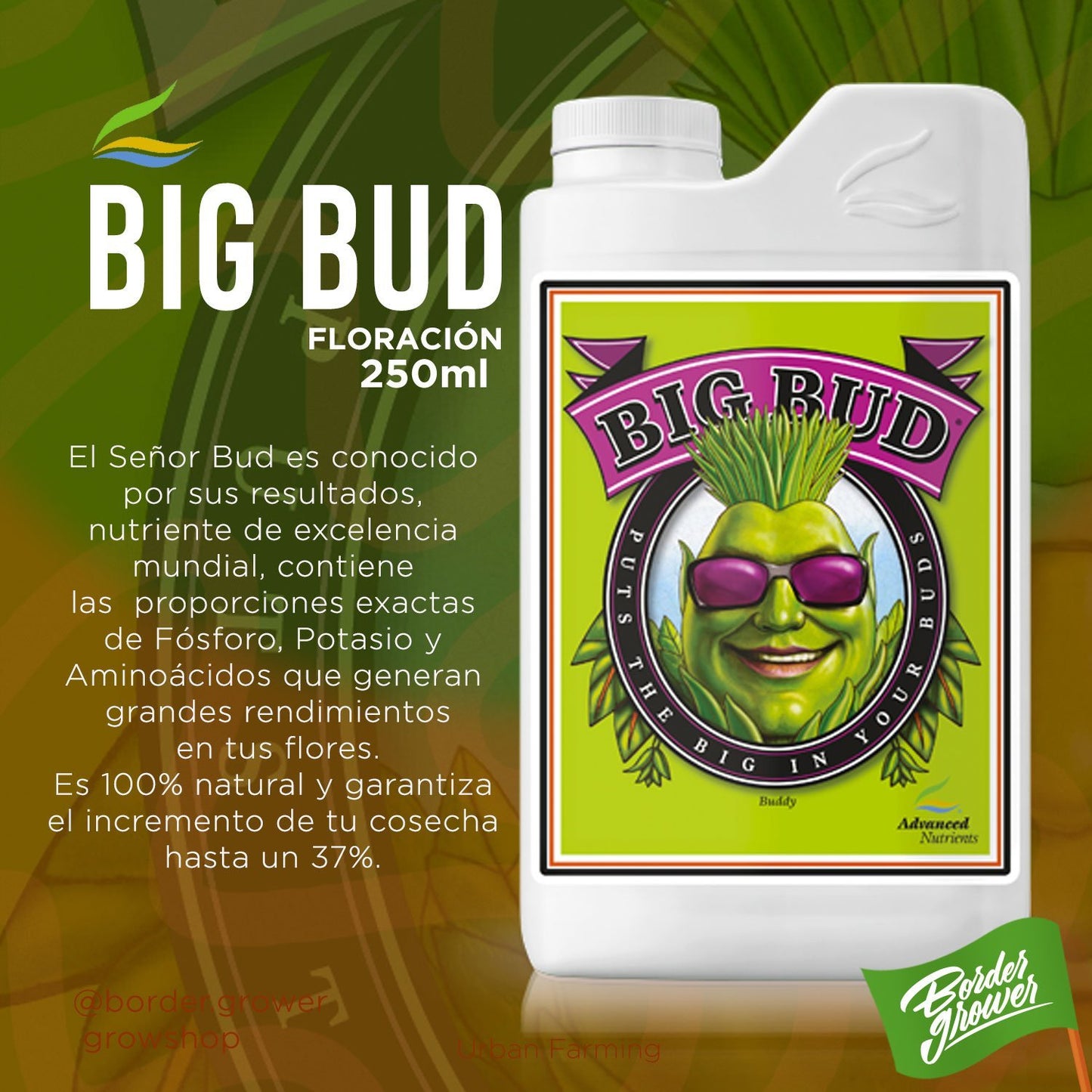 BIG BUD Fertilizante Líquido Para Floración Engordador De Flores