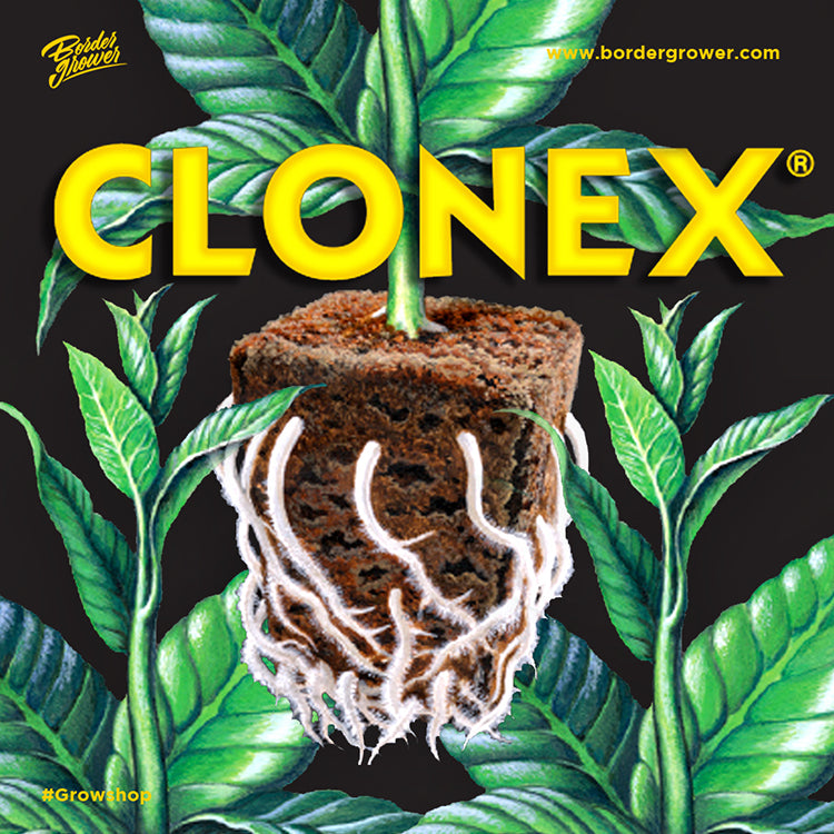 CLONEX CLONE SOLUTION 20 mL Aditivo Para Esquejes Y Clones Promueve El Enraizamiento De Tus Plantas
