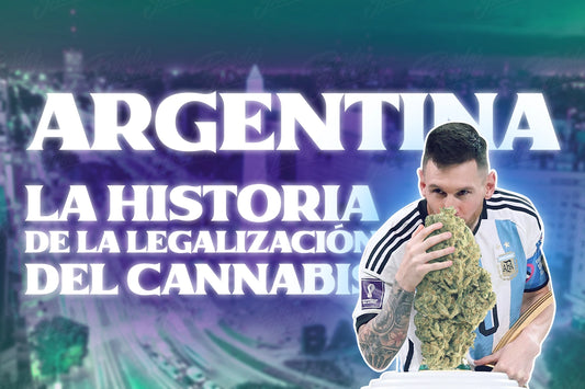 Argentina Cannabis la historia de la legalizacion de cannabis el argentina cannabis legal en latinoamerica legalidad cannabica border grower