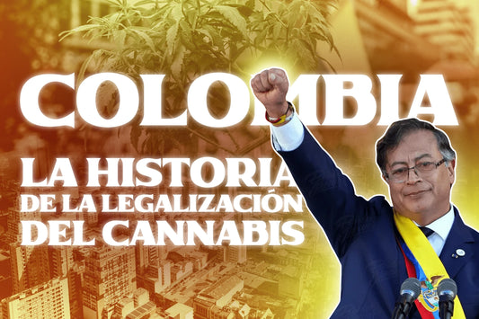 Colombia Cannabis la historia de la legalizaciond del cannabis marihuana legal en colombia legislacion del cannabis en latinoamerica lo que tienes que saber sobre el cannabis legal en colombia border grower