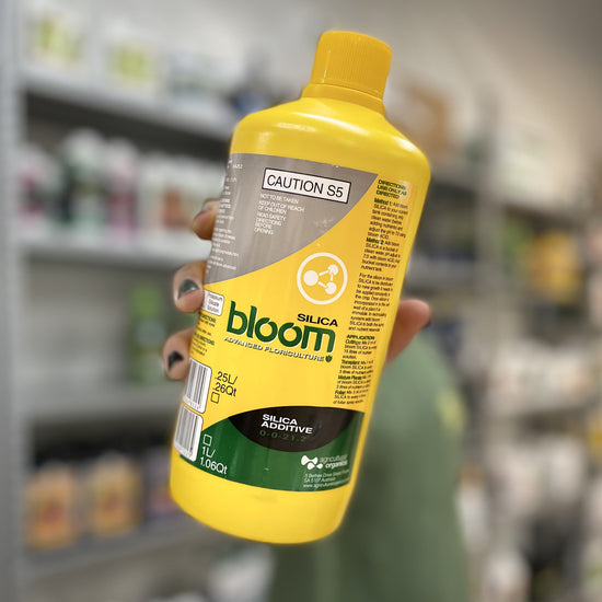 bloom yellow bottles silica el concentrado de silicatos mas fuerte del mercado rinde hasta 6000 litros ayuda a fortalecer los tejidos de tus cultivos para aguantar mas cosecha